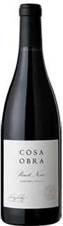 2022 Cosa Obra Sonoma Coast Pinot Noir